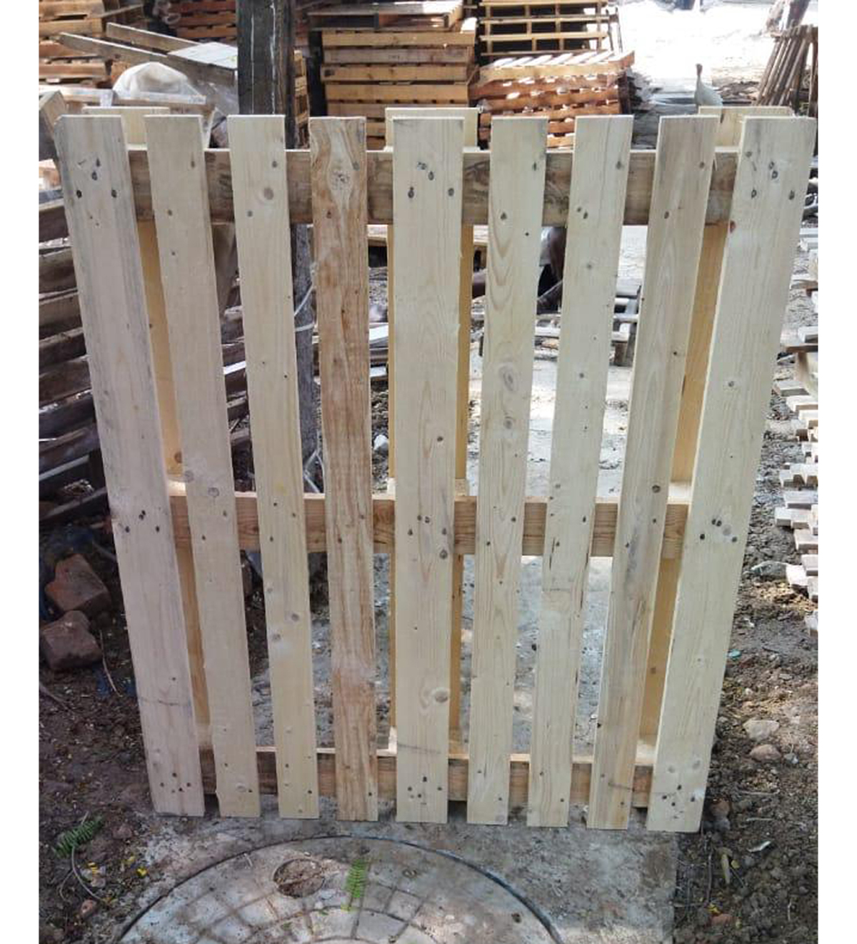 Chemical treated Wooden Pallets